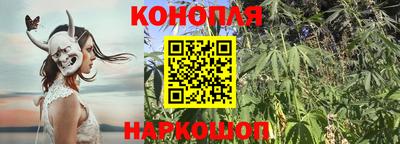 Альфа ПВП Пушкино