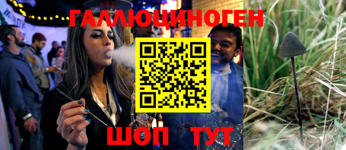 Саров  Галлюциногенные грибы мухоморы  Псилоцибиновые грибы Cubensis  Вход с VPN 