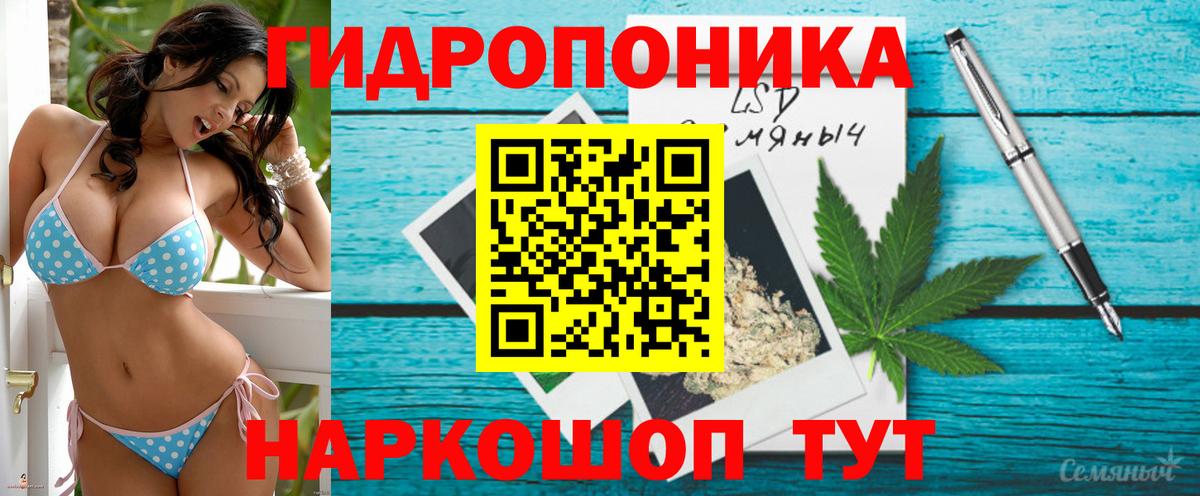 Бошки Шишки конопля Саров